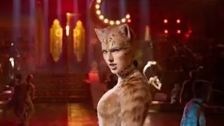 кошки кошки
