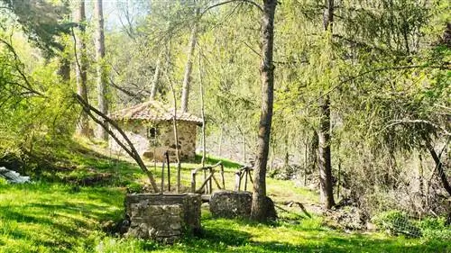 Лучшие завтраки в отелях: Молино-дель-Фео, беседы с рекой Дуратон