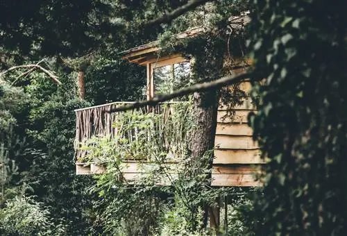 Кабанес-аль-Арбрес