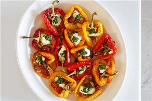 Рецепты из английской деревни 'Домашняя фермерская кухня'