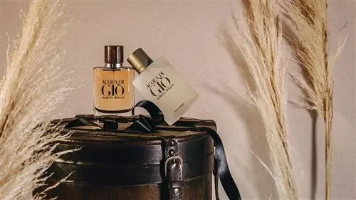 Acqua di Gió от Giorgio Armani в версиях Classic и Absolu.