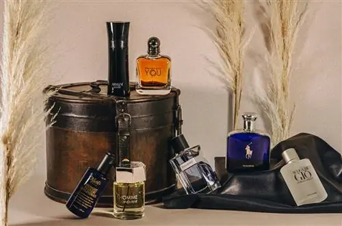 Что из всего этого будет твоим ароматом