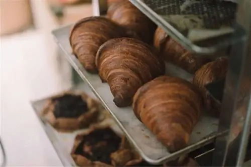 Alma Nomad Bakery - пекарня, в которую влюбляется Мадрид