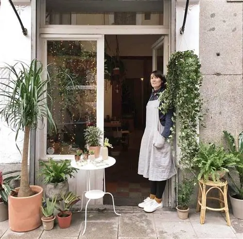 Елена и ее больница для растений Planthae