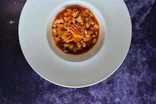 Рубец по-мадридски.