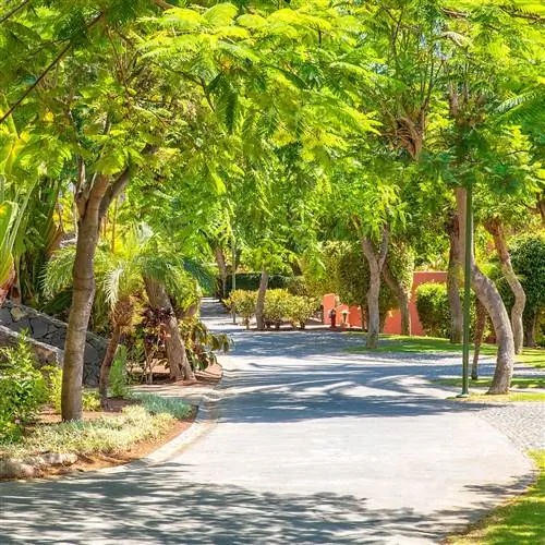 РитцКарлтон Абама Тенерифе