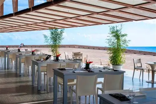 гастромаг постоянный сюрприз