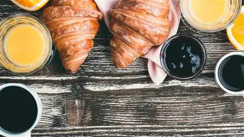 Из Ла-Оротавы в Америку: бранч на Тенерифе