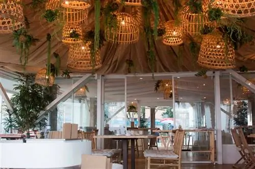 Новая концепция закусочной