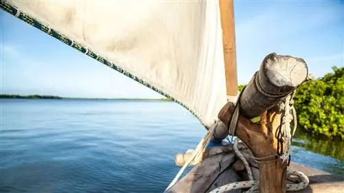 Ламу: Жизнь в замедленной съемке