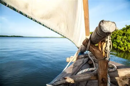 Традиционная лодка в Ламу