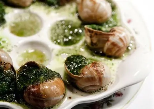 улитки в бенуа