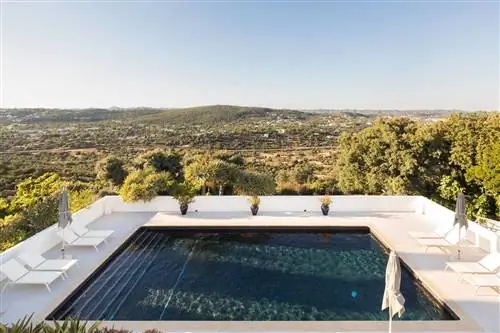 Ферма пальм