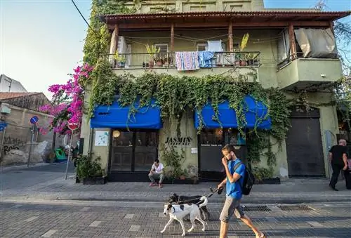 Прогулка по Шабази обязательна