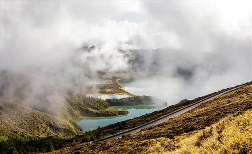 в поисках моби дика