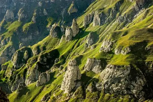 Природный парк Бучеджи