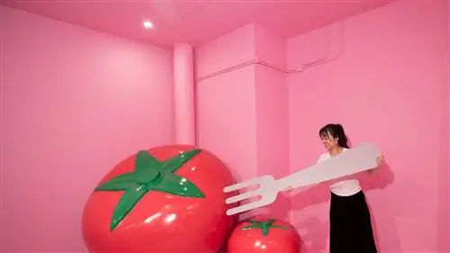 Tomatoland: всплывающее окно в виде гигантского холодильника, где вы можете стать помидором на день