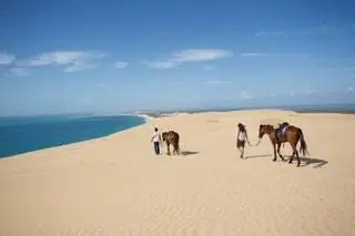 разъездные обязанности