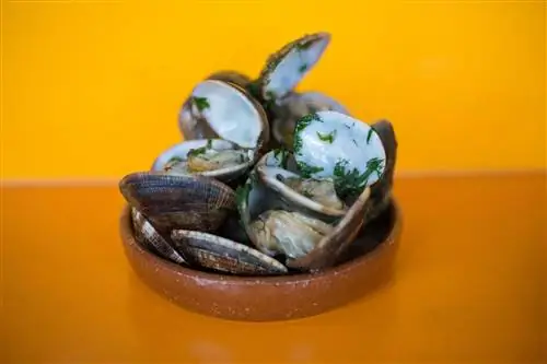 Лучшие тапас в Лондоне