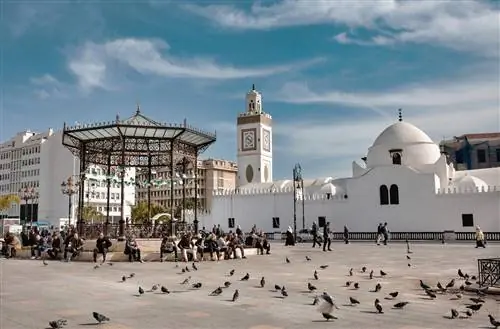 Алжирский засохший балкон со стороны Средиземного моря