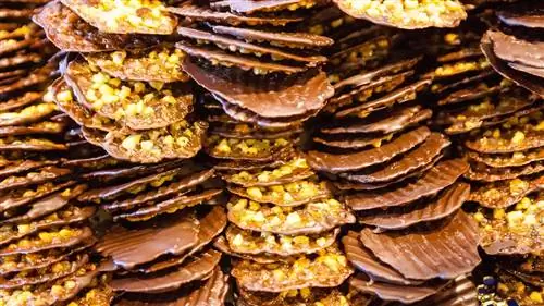 Хихон Голосо: потому что никто не обижается на сладкое