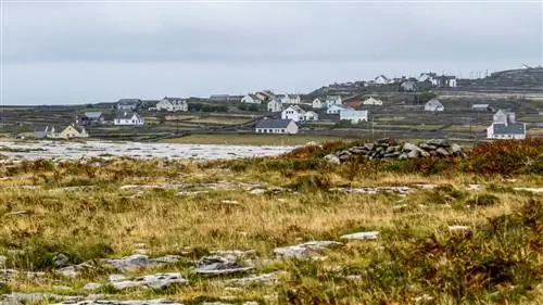 Острова Аран: торжество простоты (и аутентичности)