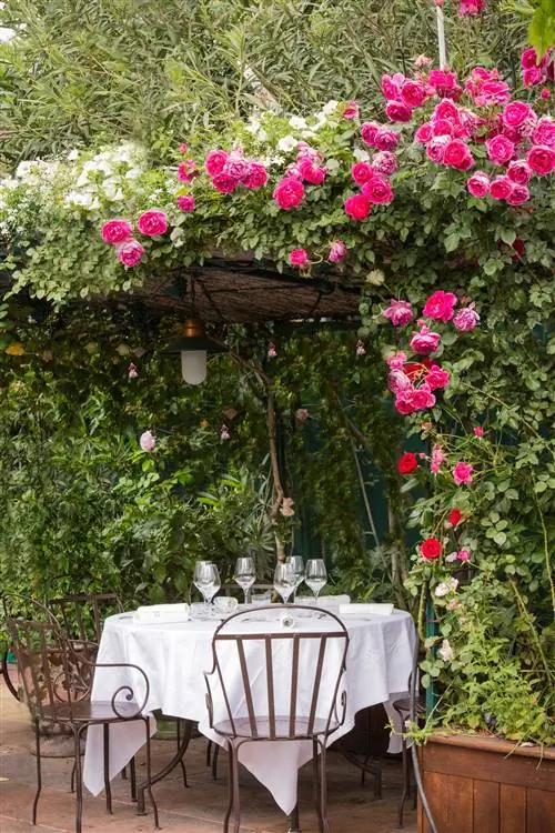 Буфет Les Grands