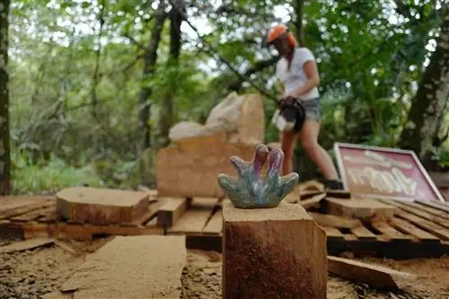 Клаудия Конт