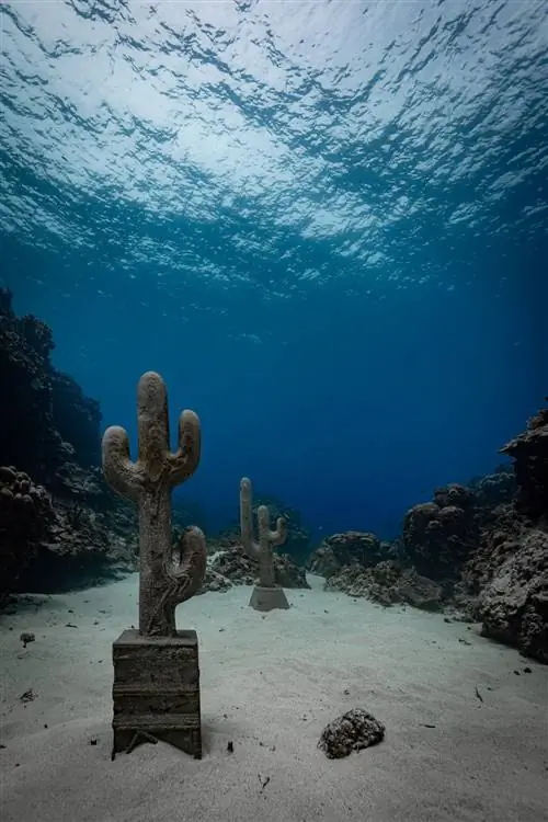 Клаудия Конт