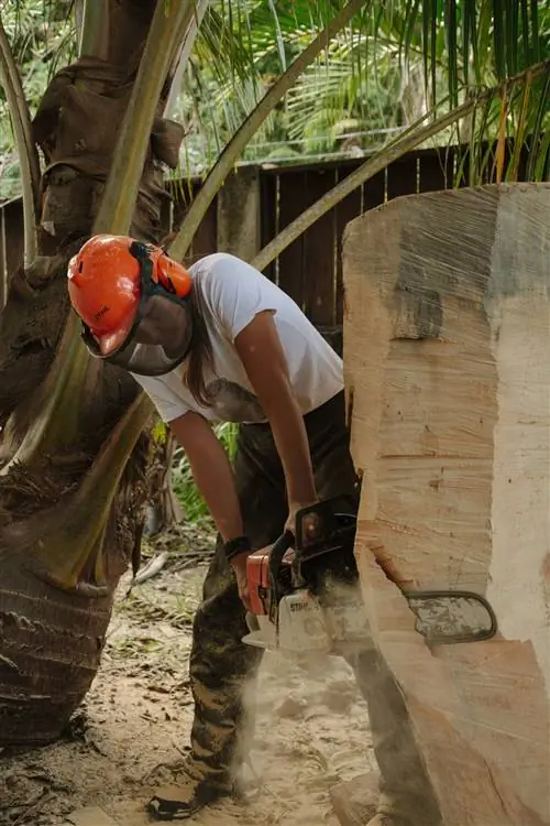 Клаудия Конт