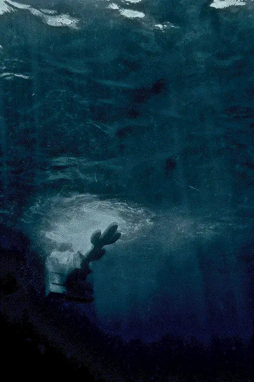 Клаудия Конт