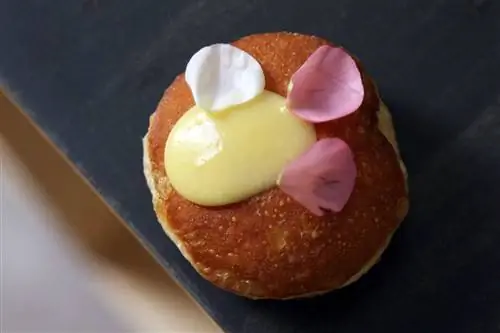 Acid Bakehouse мастерская Баррио-де-лас-Летрас