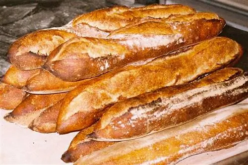 Acid Bakehouse мастерская Баррио-де-лас-Летрас