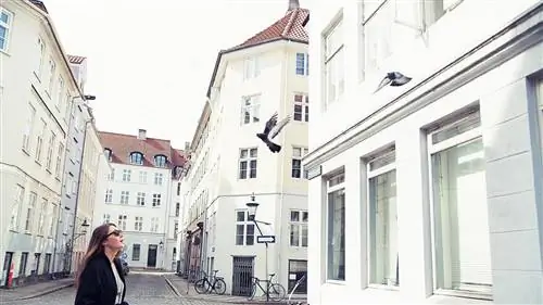 Пазо-де-Сабадель - пример исторической консервации в самом сердце Луго.