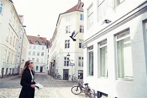 Фрагмент кухни Пазо-де-Сабадель-Луго.