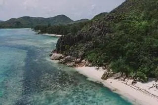 Хотя известно, что арабские и малайские мореплаватели 10 века уже останавливались в убежище заливов Сейшельских островов, они не…