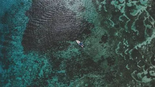 Сейшельские острова: полированный гранит и коралловая пудра