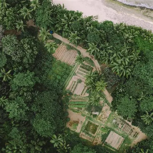 Six Senses Зил Пасьён