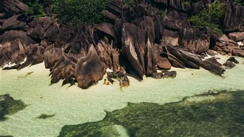 Сейшельские острова вновь открывают свои границы