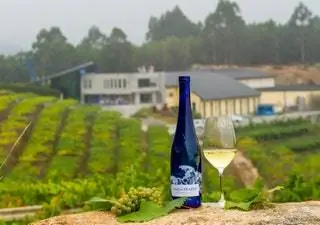 Изменение климата уже затронуло галисийские виноградники, что привело к увеличению количества зим в последнее десятилетие…