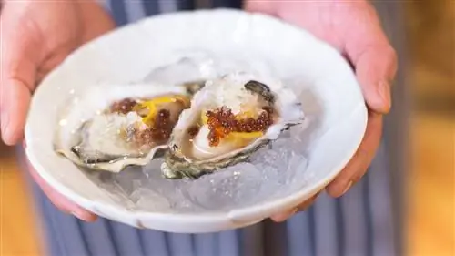 Тренды, заметки и новости для путешествий (для гедонистического удовольствия)