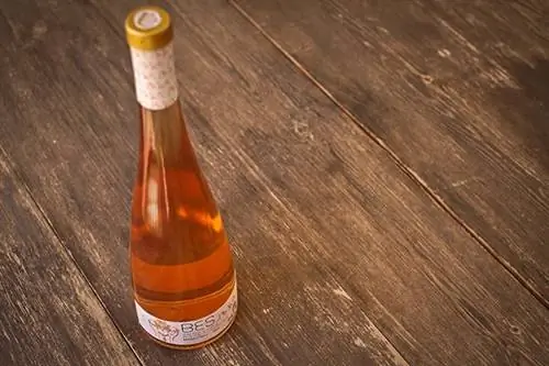 Причины поехать на Ибицу весной