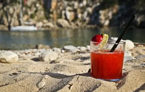 Причины поехать на Ибицу весной