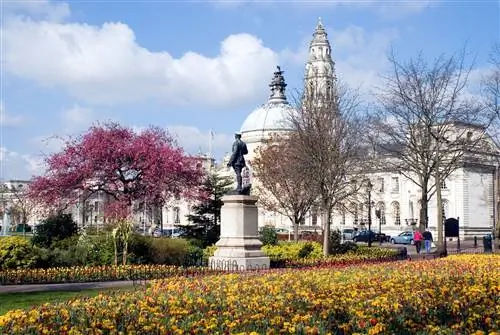 Общественный центр Кардиффа