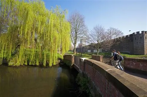 Бьют причал