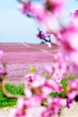 отличная точка зрения