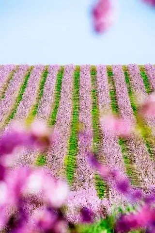 Кампания жила в сетях