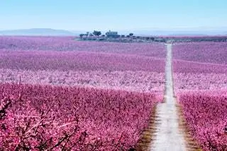 бесплатные маршруты