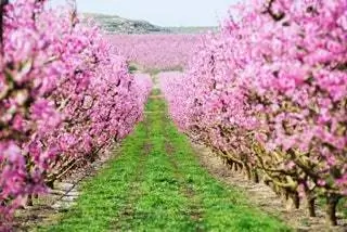 Давайте начнем 2022 год с большим количеством маршрутов