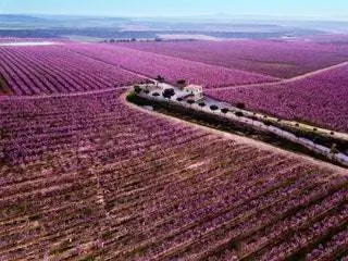 Лучшие локации